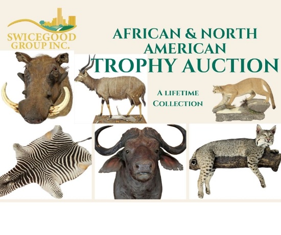 Sharkey Trophy Mount Auction