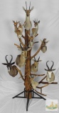 Tree of small antelope