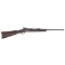 Model 1877 Springfield Trapdoor Carbine