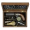 Cased Blunt & Syms Percussion Pepperbox
