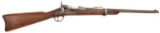 U.S. Model 1873 Trapdoor Carbine