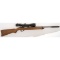 * *Ruger 10-22 Rifle with Scope and Suppressor