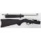 * Ruger Model 10/22 Takedown Rifle