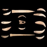 A Frame of Drilled Teeth AND Bone Hairpins