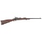 Springfield Model 1873 Carbine