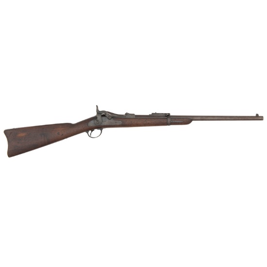 Model 1884 Springfield Carbine