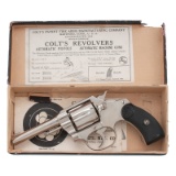 ** Colt Pocket Positive