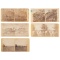 Civil War Stereoviews by Alexander Gardner, Lot of Five