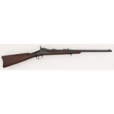 Springfield Model 1884 Carbine