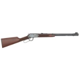 * Winchester Model 94 .22
