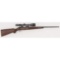 * Winchester Model 52 Sporting Rifle
