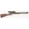 * Winchester M9422 Rifle