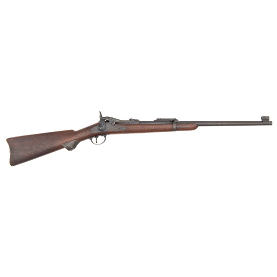 Springfield Model 1884 Trapdoor Carbine