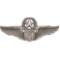 Josten WWII-era U.S. Army Air Corps Command Pilot's Badge