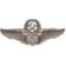 Josten WWII-era U.S. Army Air Corps Command Pilot's Badge