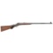 Remington Hepburn Target Rifle