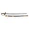 Non-Regulation Import Staff & Field Officers Sword of Capt. Albert Foster - 25th Mass Infantry