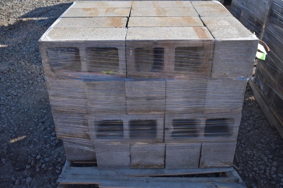 Pallet of Cinder Blocks