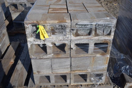 Pallet of Cinder Blocks