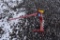 New Worksaver 3pt Bale Spear