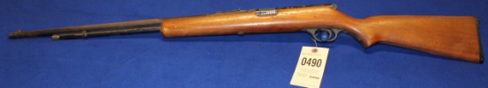 Savage 22 long rifle