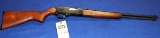 Winchester model 190 22 short, long or long rifle