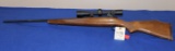 .243 Rifle w/new hasting
