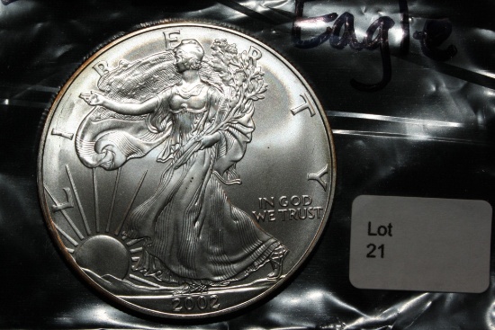 2002 Silver Eagle