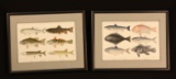 Set of 2 Framed Fish 