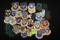 Lot of (43) Air Force Patches