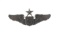 Senior Service Pilot Wings - Sterling Silver 3