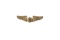 Pre-WWII Air Corps Instructor Wings - 2