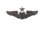 Senior Service Pilot Wings - Sterling Silver 3