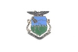 Sterling Vietnam Era Air Corps Pin