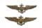 (2) WWII sterling / 1/20 10k USN pilot wings.