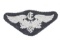 WWII Nazi Luftwaffe specialty patch