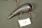 Antique Powder Flask