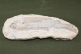Ancient fish fossil (fish is 10” long)