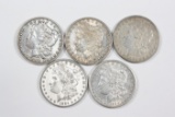 Lot (5) Morgan silver dollars