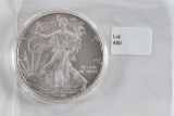 2010 Silver Eagle