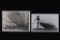 Lot (2) Nazi Graf Zeppelin LZ-127 Postcards