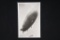 Nazi LZ-129 Hindenburg Postcard