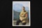 Nazi Adolph Hitler Color Postcard