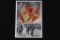 Nazi Condor Legion Propaganda Postcard