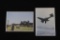 Lot of (2) Nazi Luftwaffe Color Postcards