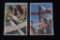 Lot of (2) Nazi Color Hitler Youth Postcards