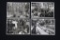 Lot of (4) Nazi Photos of Various Flags