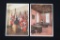 Group of (2) Nazi Brown House Postcards