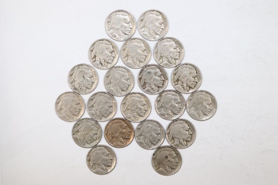 Lot (20) Buffalo nickels