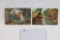 (2) German Colonial War Postcards